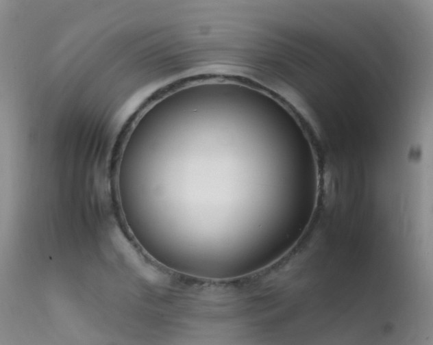 X0000112210972200908141454