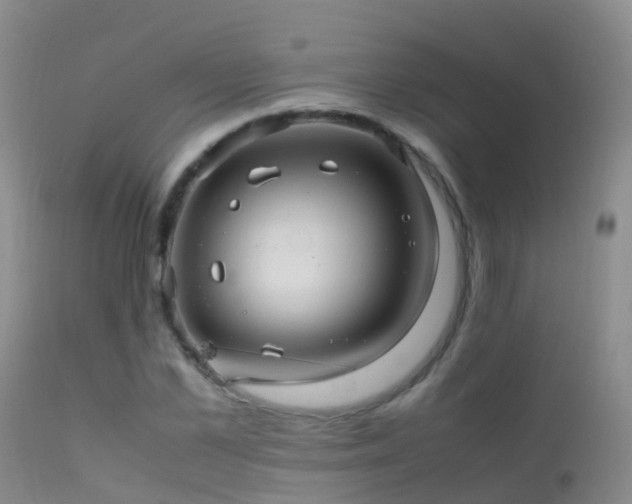 X0000112210973200908141454