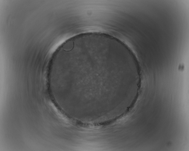 X0000112210975200908141454