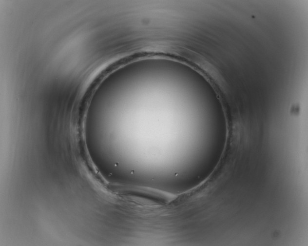 X0000112210976200908141454