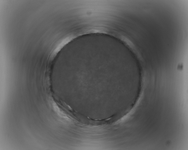 X0000112210977200908141454