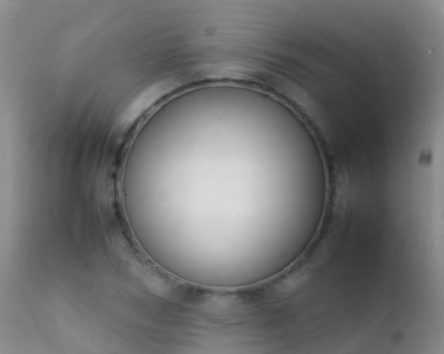 X0000112210978200908141454