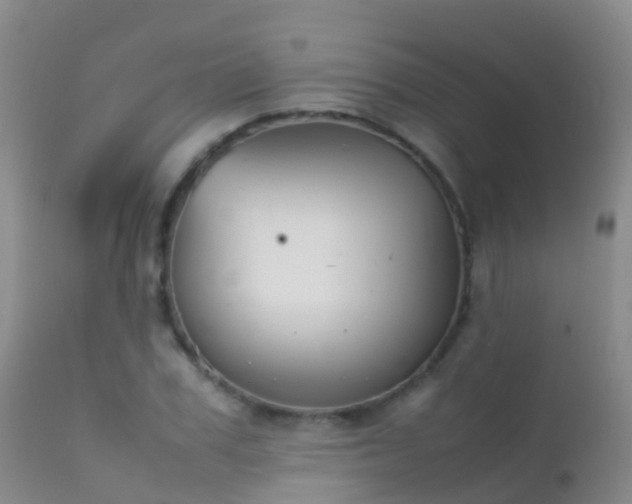 X0000112210979200908141454