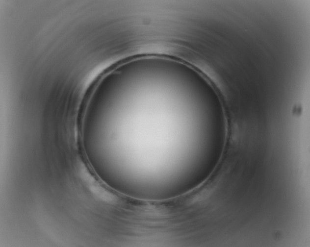 X0000112210980200908141454