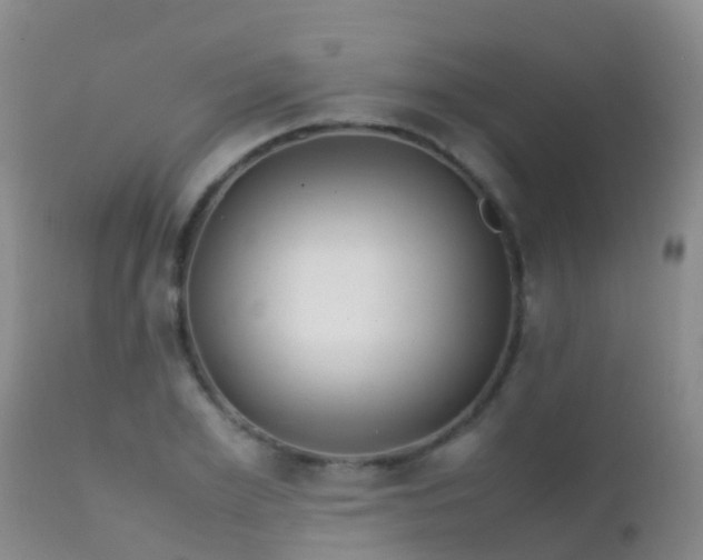 X0000112210981200908141454