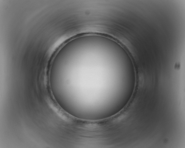 X0000112210982200908141454