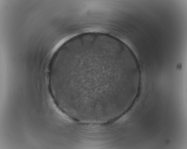 X0000112210983200908141454