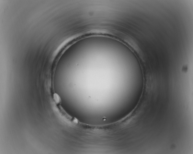 X0000112210984200908141454