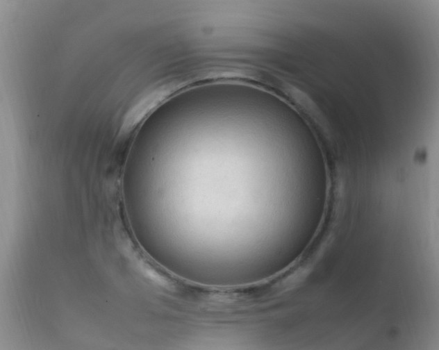 X0000112210985200908141454