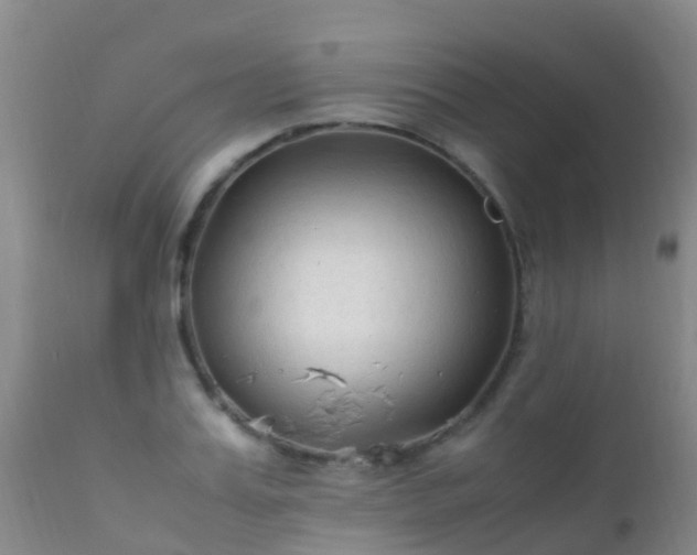 X0000112210987200908141454