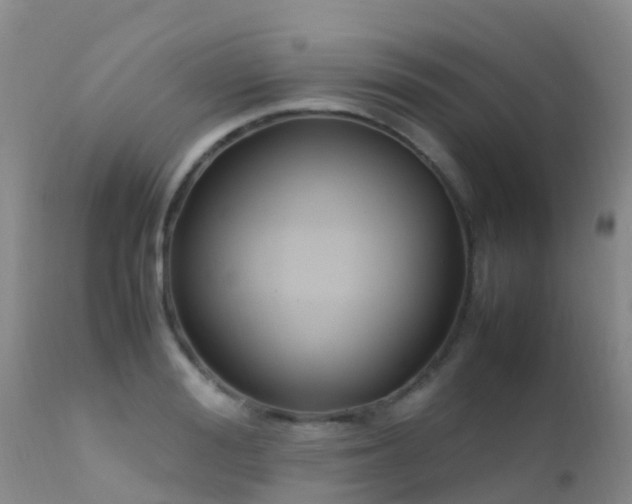 X0000112210988200908141454