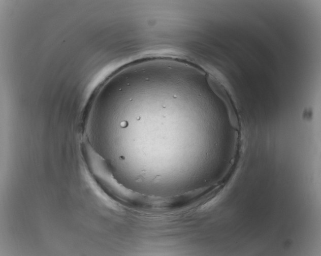 X0000112210989200908141454