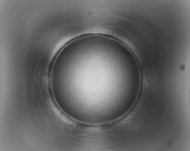 X0000112210990200908141454