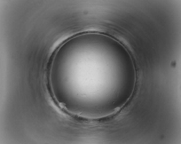 X0000112210991200908141454