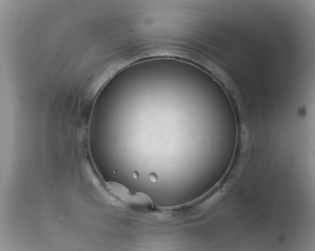 X0000112210993200908141454