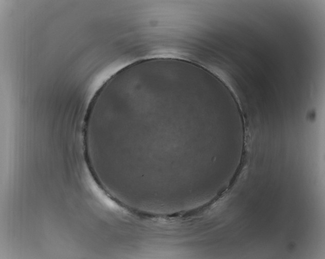 X0000112210995200908141454