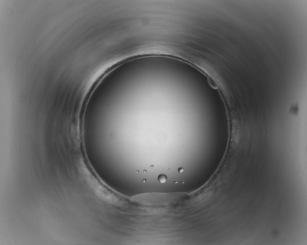 X0000112210996200908141453