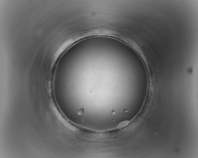 X0000112210997200908141453