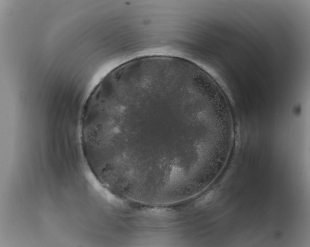 X0000112210998200908141453