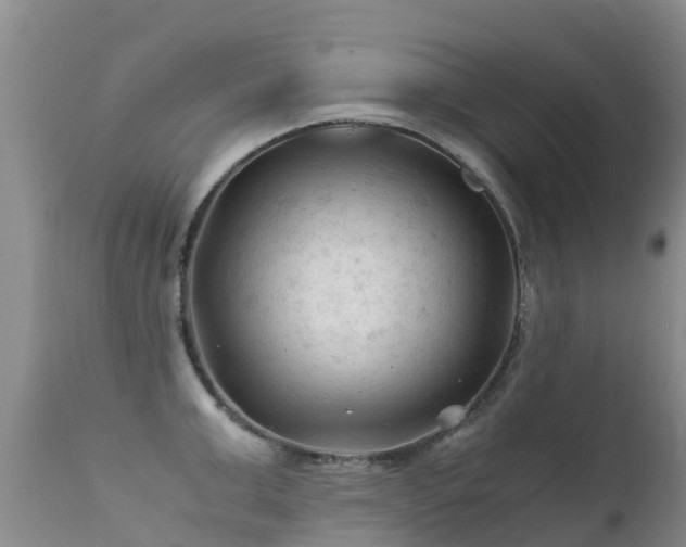 X0000112210999200908141453