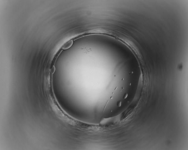 X0000112211000200908141453