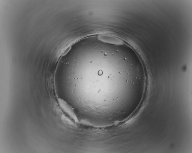 X0000112211001200908141453