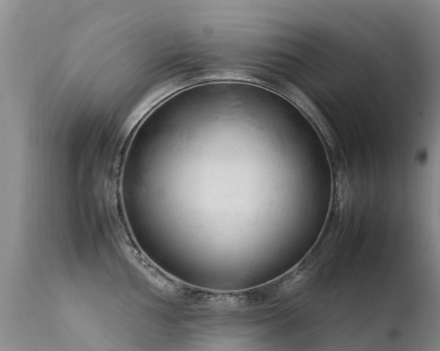 X0000112211002200908141453