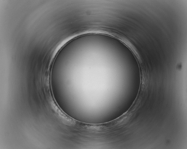 X0000112211004200908141453