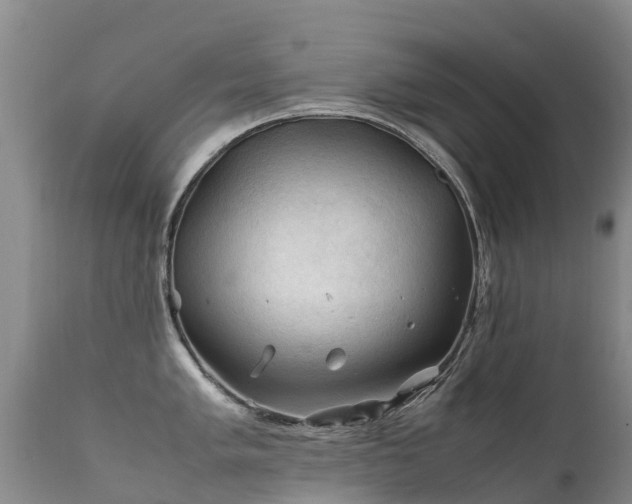 X0000112211005200908141453