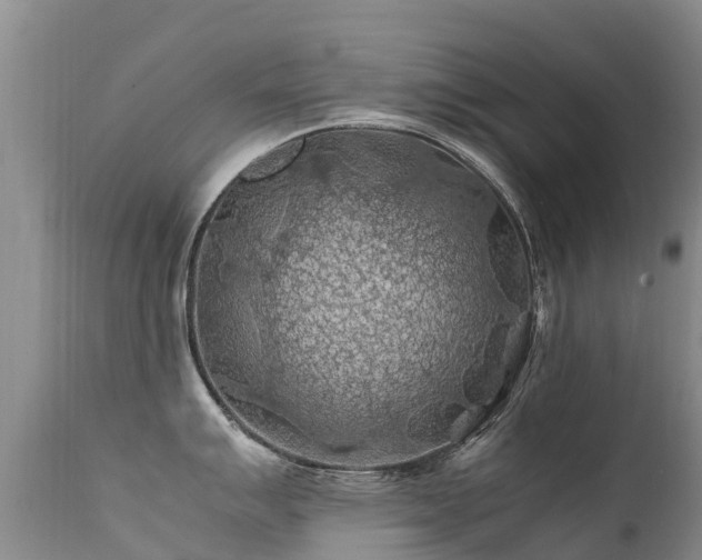 X0000112211007200908141453