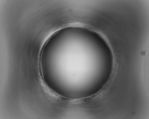 X0000112211008200908141453