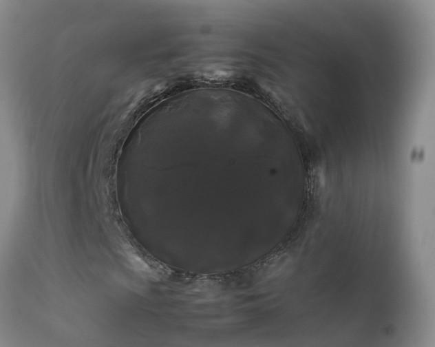 X0000112211009200908141453