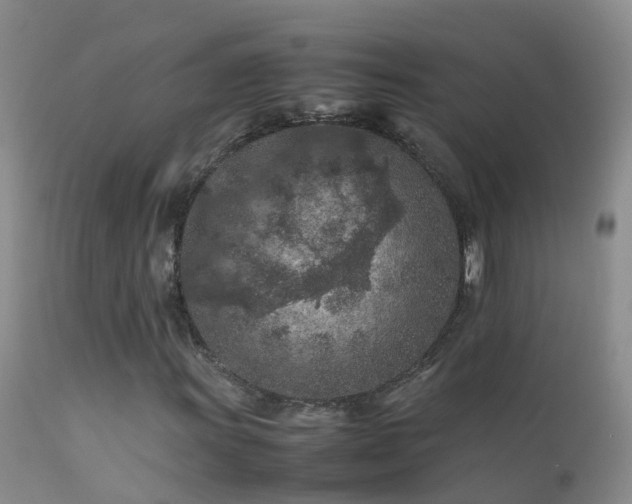 X0000112211011200908141453