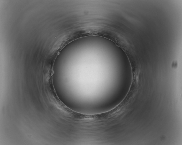 X0000112211012200908141453