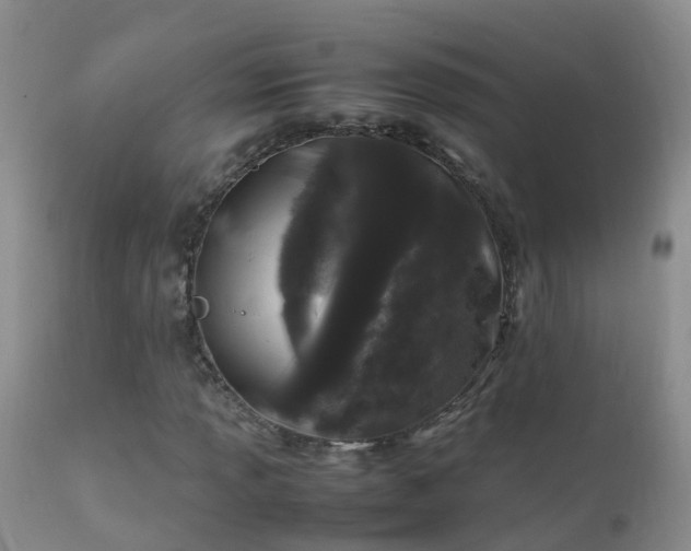 X0000112211013200908141453