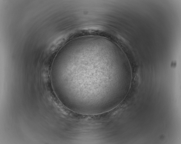 X0000112211014200908141453