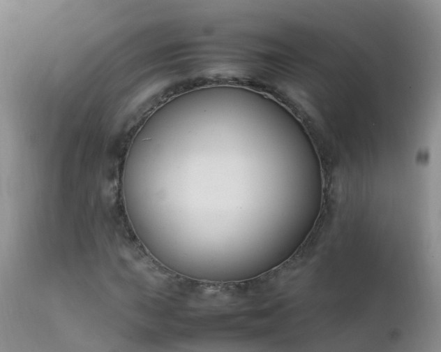 X0000112211015200908141453