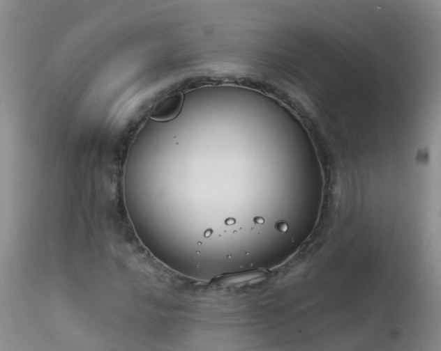 X0000112211016200908141453