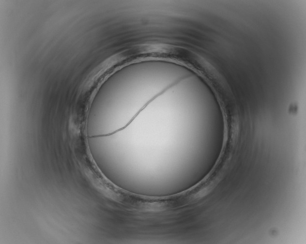 X0000112211017200908141453