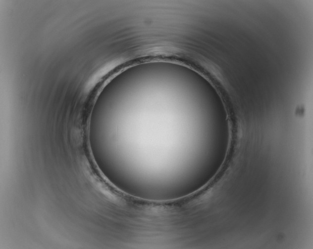 X0000112211018200908141453