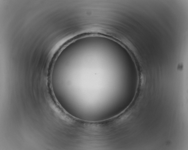 X0000112211020200908141453