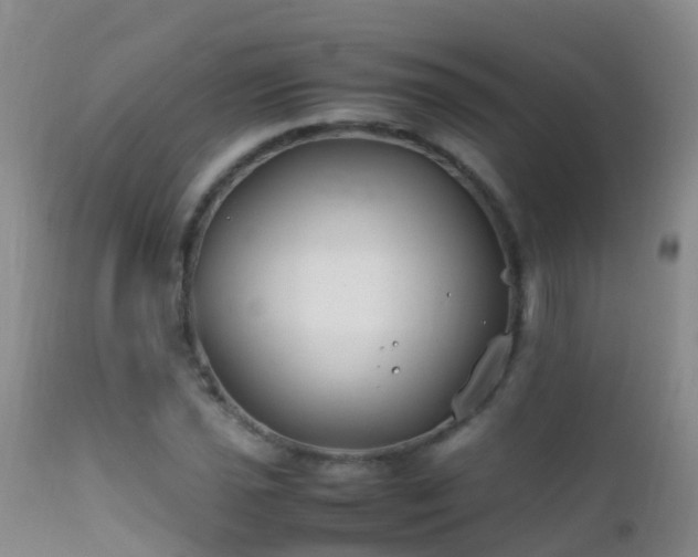 X0000112211021200908141453