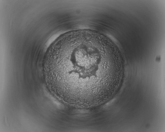 X0000112211023200908141453