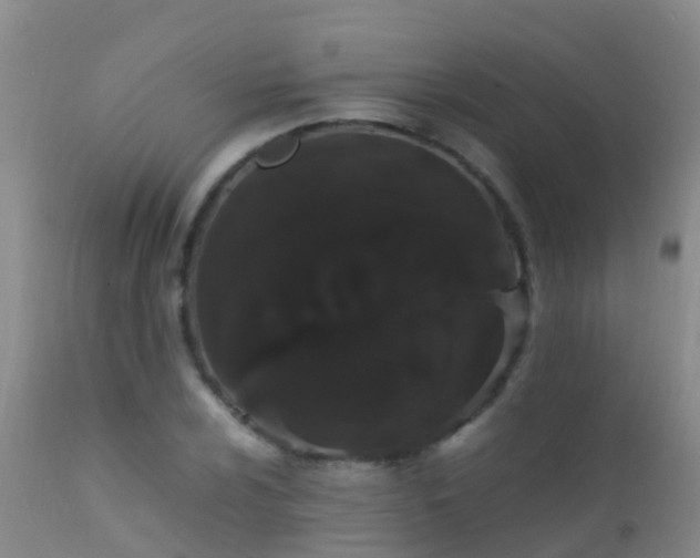 X0000112211024200908141453