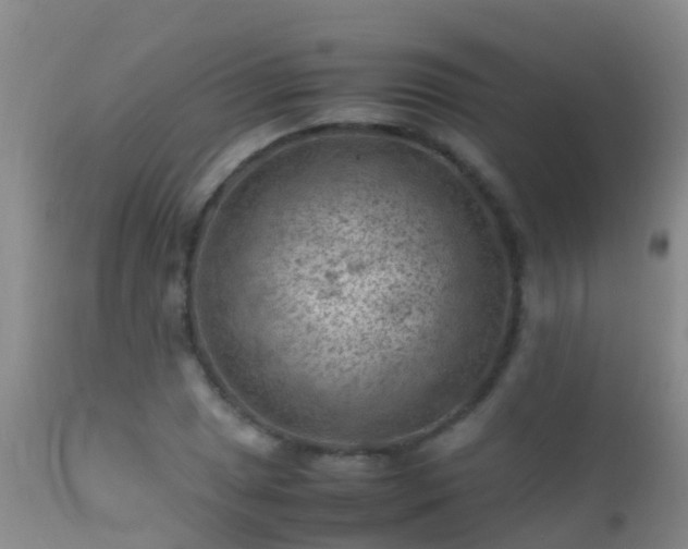 X0000112211025200908141453