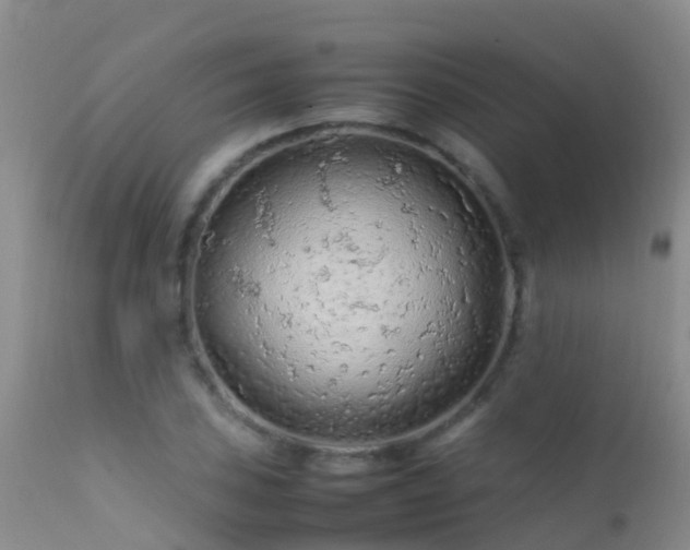 X0000112211027200908141453