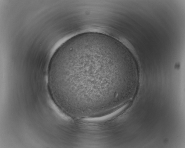 X0000112211028200908141453