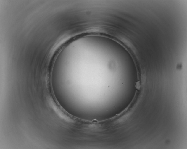 X0000112211029200908141453