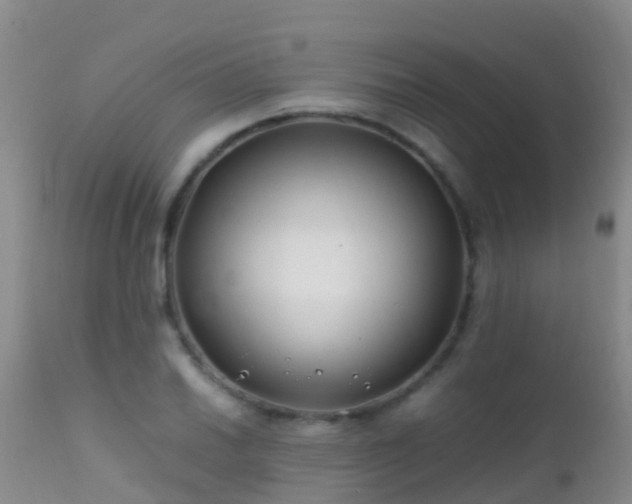 X0000112211030200908141453