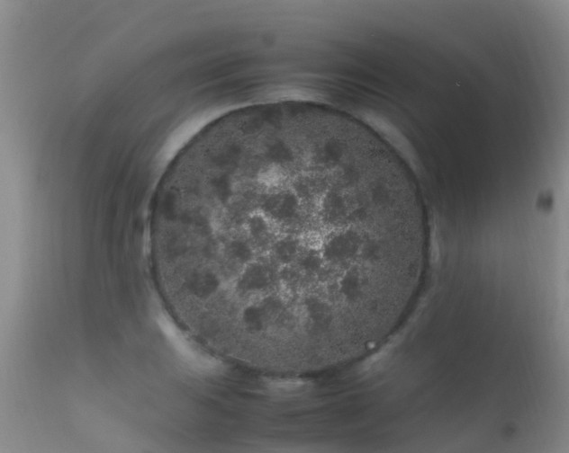 X0000112211031200908141453